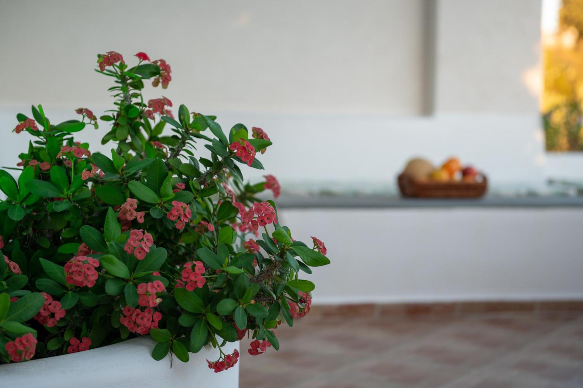 L'Eros Villa Grandma'S House Lakkíon Dış mekan fotoğraf